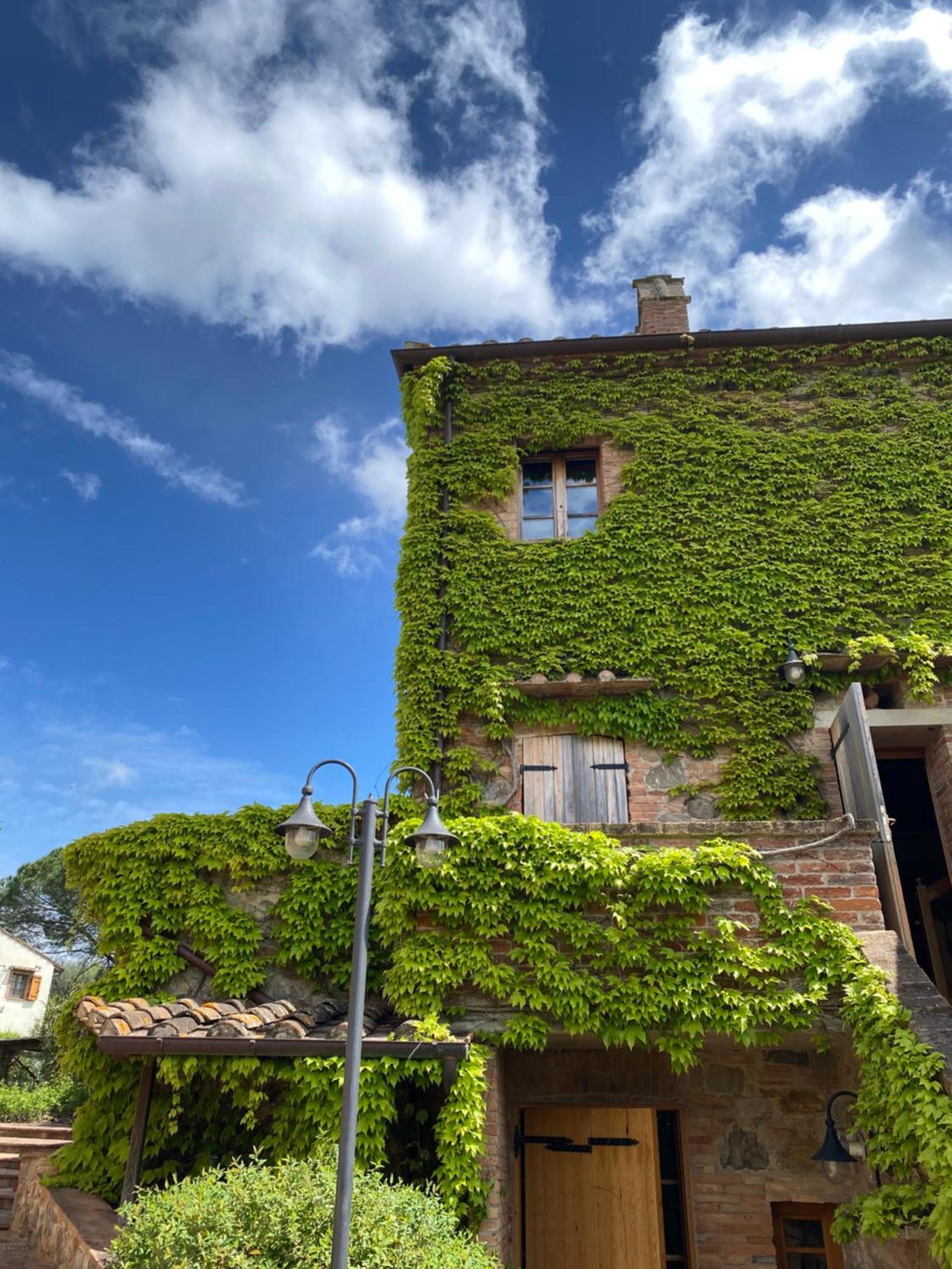 Agriturismo Borgo 7 Tigli - Apt 1 Montepulciano Stazione 外观 照片
