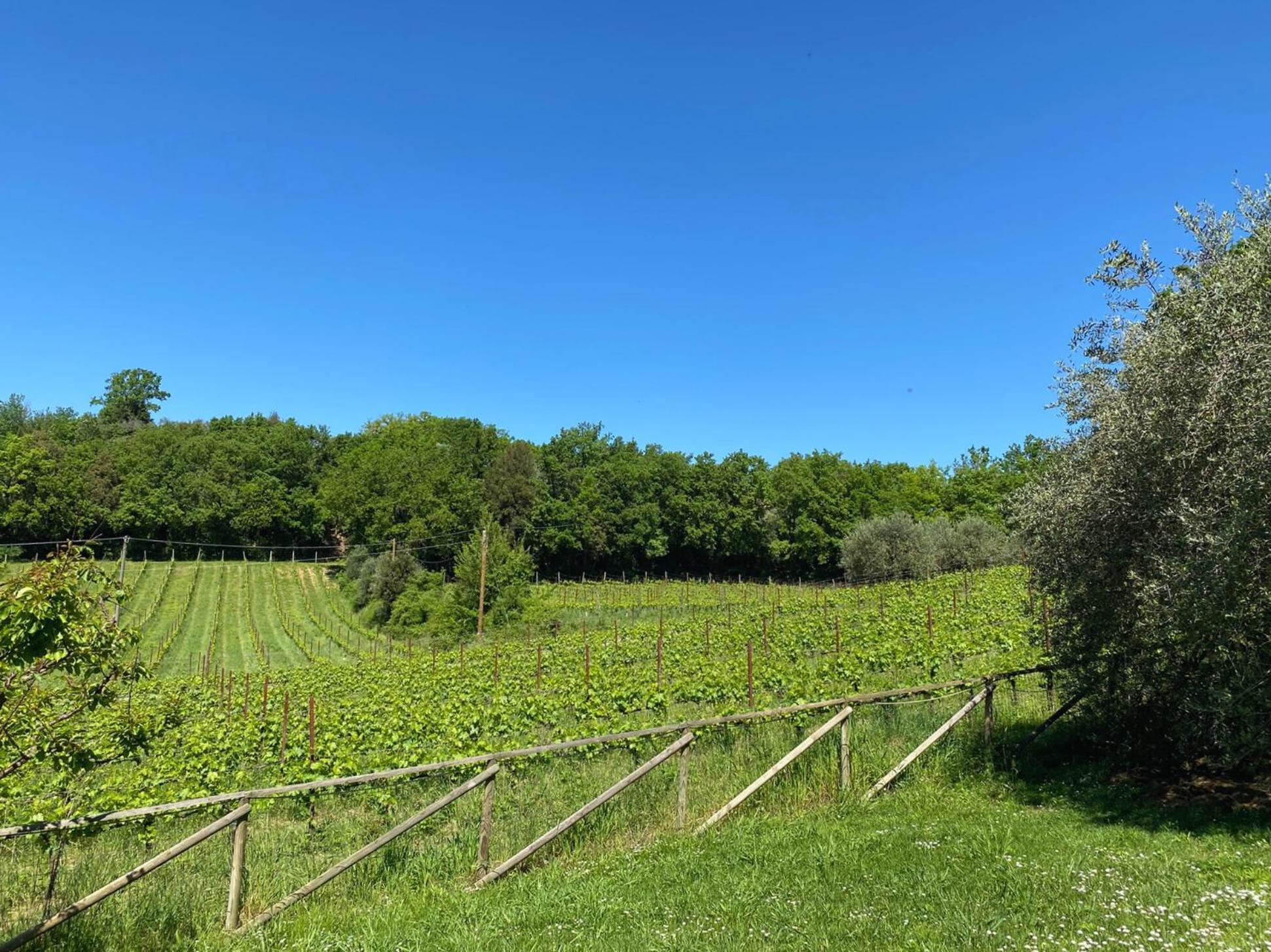 Agriturismo Borgo 7 Tigli - Apt 1 Montepulciano Stazione 外观 照片